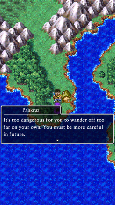 DRAGON QUEST V screenshot