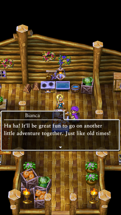DRAGON QUEST V screenshot