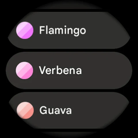 Apex SE Watch Face screenshot