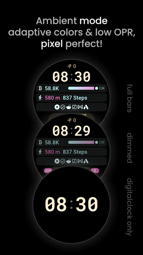 InfoHub Watch Face screenshot