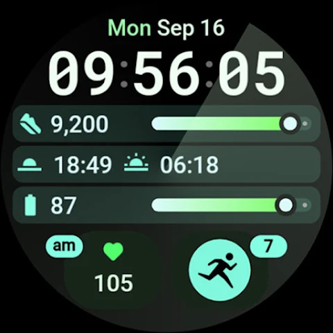 InfoHub Watch Face screenshot