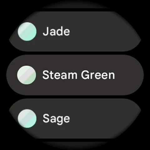 Main Goals Watch Face screenshot