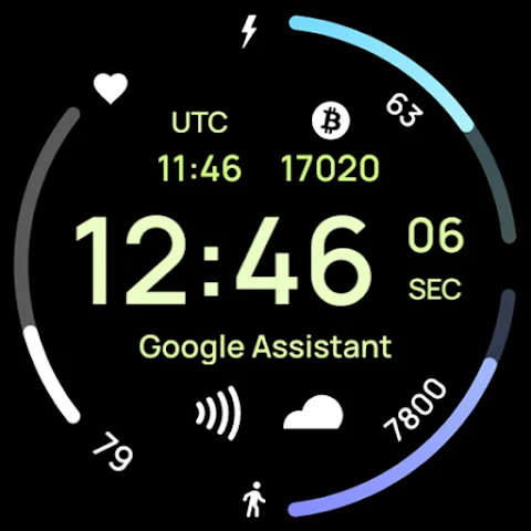 Pulse Watch Face screenshot