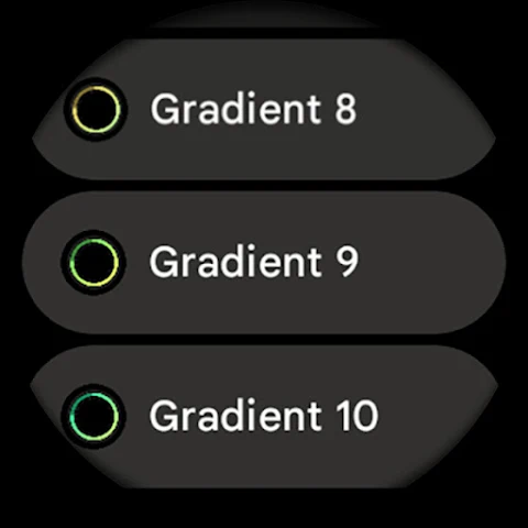Talon Watch Face screenshot