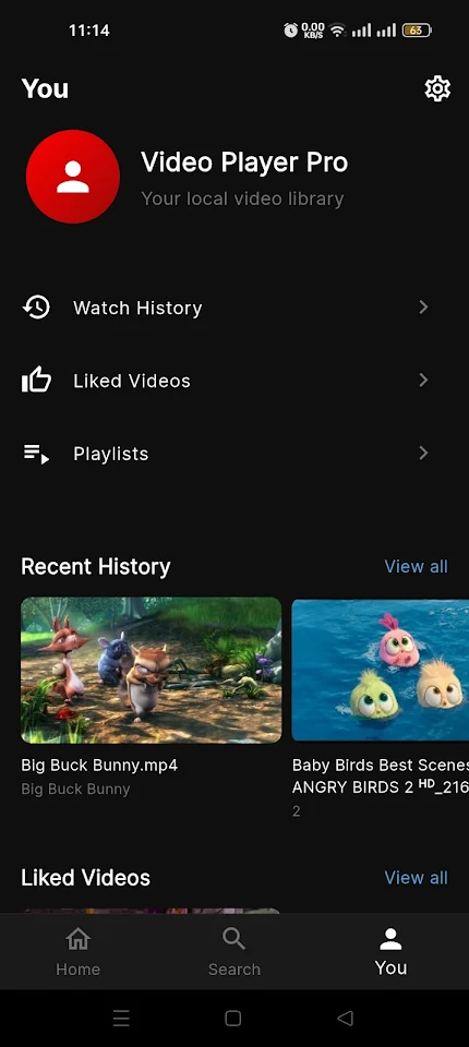 Video Player Pro:  YT Style screenshot