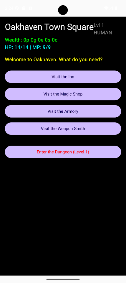 Dungeons Undiscovered. screenshot