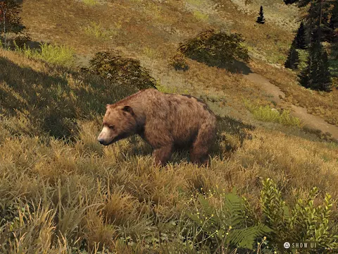 Way of the Hunter Wild Europe screenshot