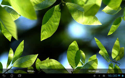 Fresh Leaves screenshot
