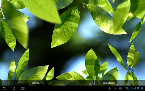 Fresh Leaves screenshot