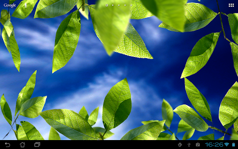 Fresh Leaves screenshot