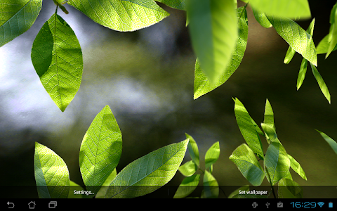 Fresh Leaves screenshot