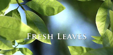 Fresh Leaves screenshot