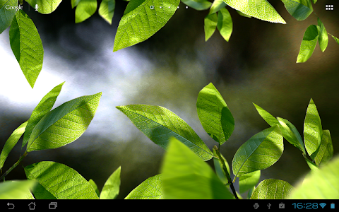 Fresh Leaves screenshot