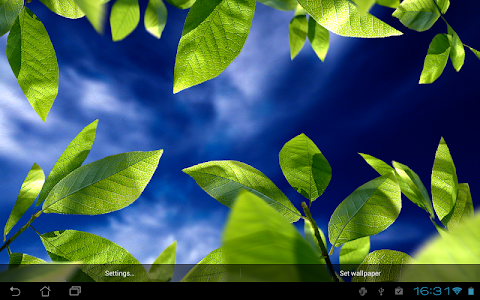 Fresh Leaves screenshot