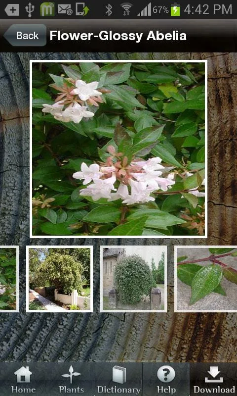 PlantFile Pro screenshot