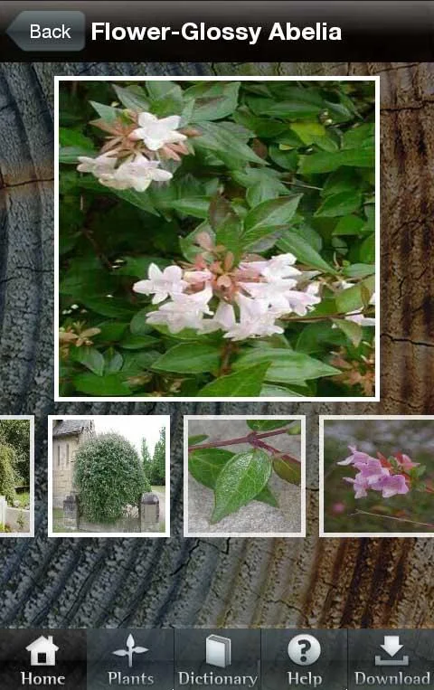 PlantFile Pro screenshot