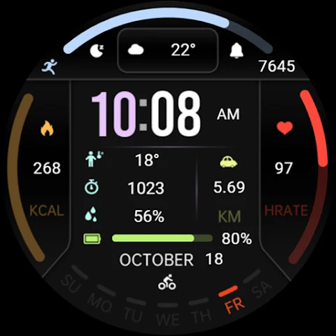 Information Block ZKin Watch screenshot