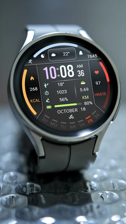 Information Block ZKin Watch screenshot