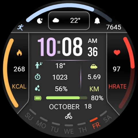 Information Block ZKin Watch screenshot