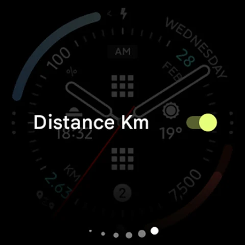 Polar Analog: Watch face screenshot