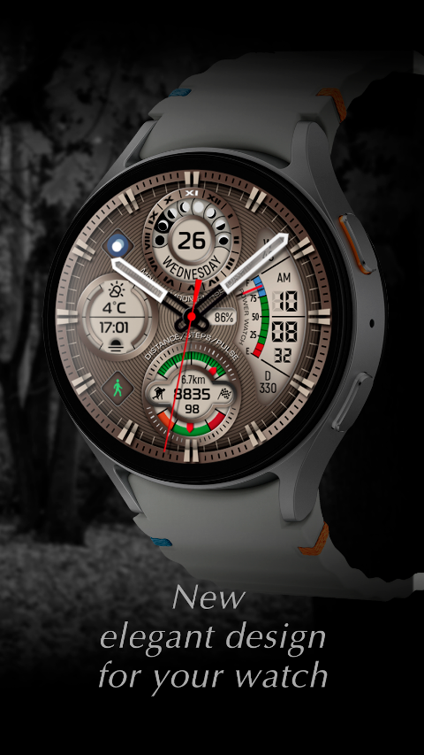 CFS109 Luxury Watch Face screenshot