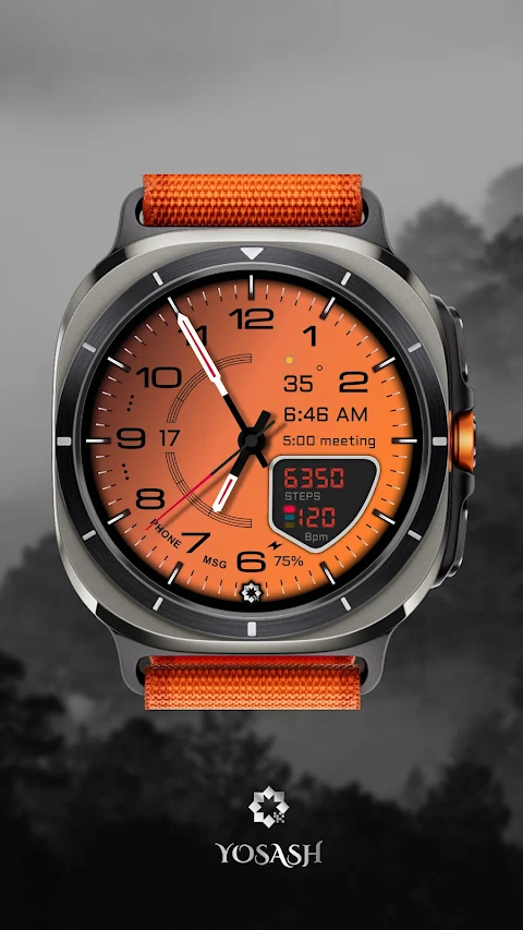 D355 Premium Watch Face screenshot
