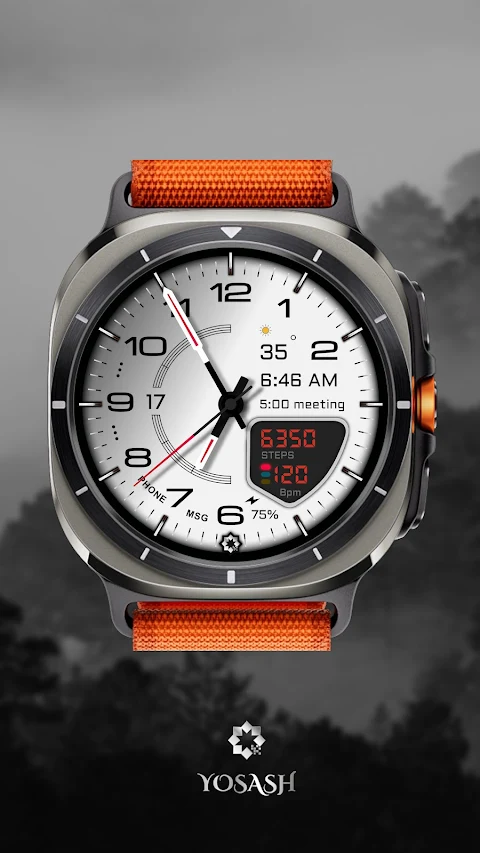 D355 Premium Watch Face screenshot
