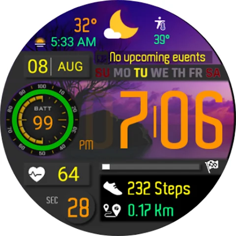 Digital Weather Sport NTV561 screenshot