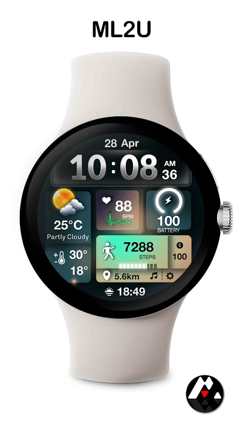 ML2U 241 Watch Face screenshot