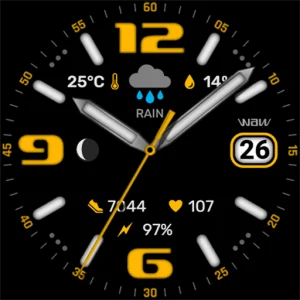 WAW023 Classic Full Watch Face