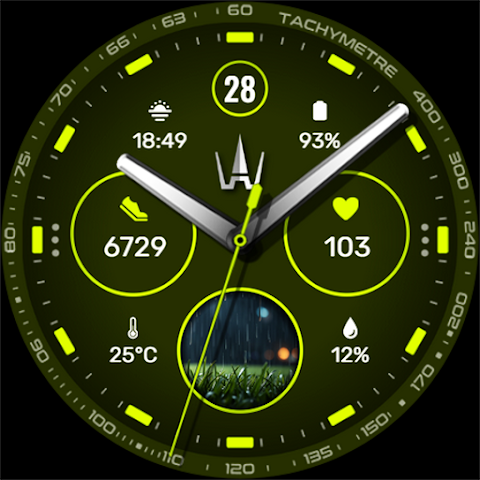 WAW039 Classy Elegant Weather screenshot