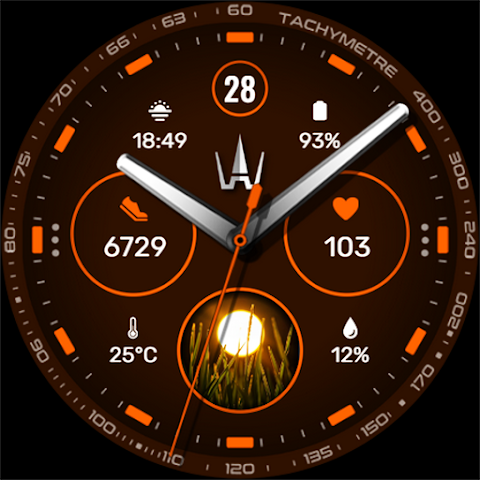 WAW039 Classy Elegant Weather screenshot