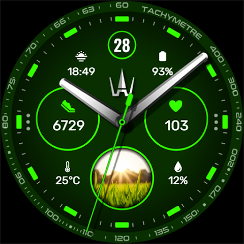 WAW039 Classy Elegant Weather screenshot