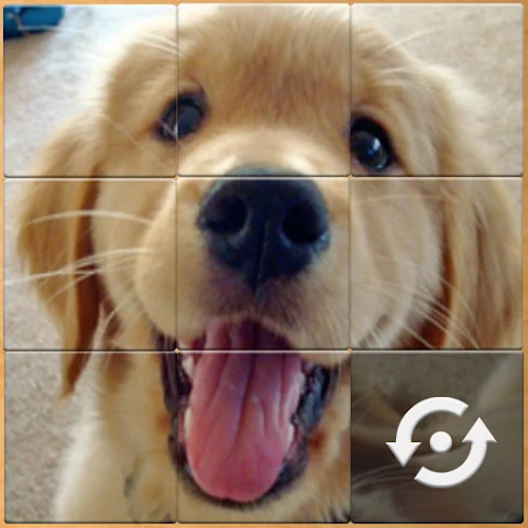 [365fun] Matching Puzzle P screenshot