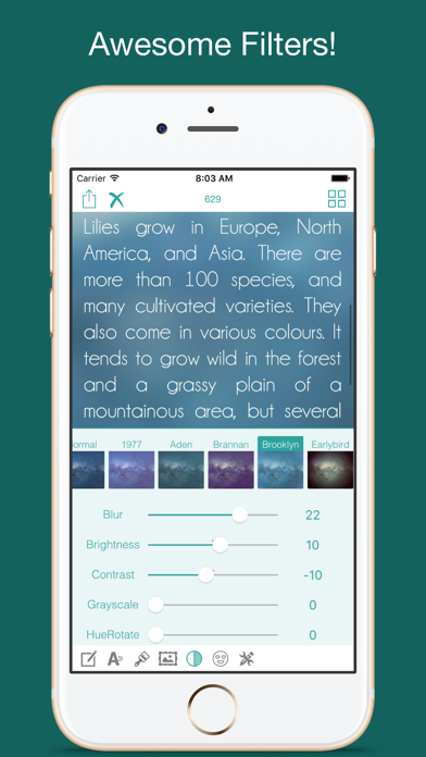 Type Freely screenshot