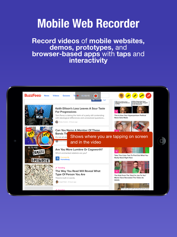 FlowRec: Web Demo Recorder screenshot