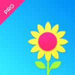 Skywall Pro – HD+ Wallpapers