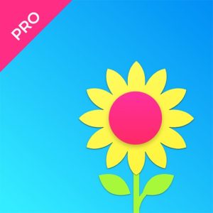 Skywall Pro – HD+ Wallpapers