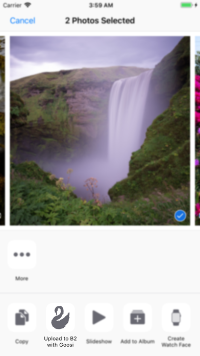 Goosi screenshot