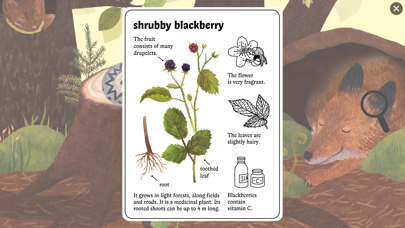Little Mouse’s Encyclopedia screenshot