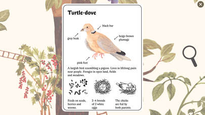 Little Mouse’s Encyclopedia screenshot