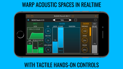 BLEASS Reverb screenshot
