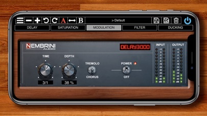 Delay3000 Vintage Modern screenshot
