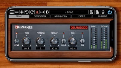 Delay3000 Vintage Modern screenshot