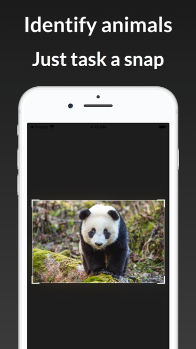 iAnimal: Animal Identifier AI screenshot