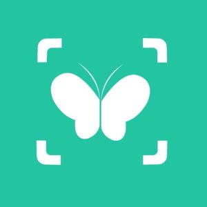 iAnimal: Animal Identifier AI