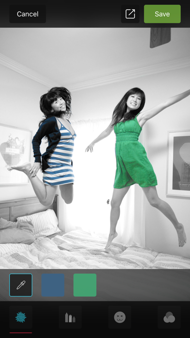 Color Accent screenshot