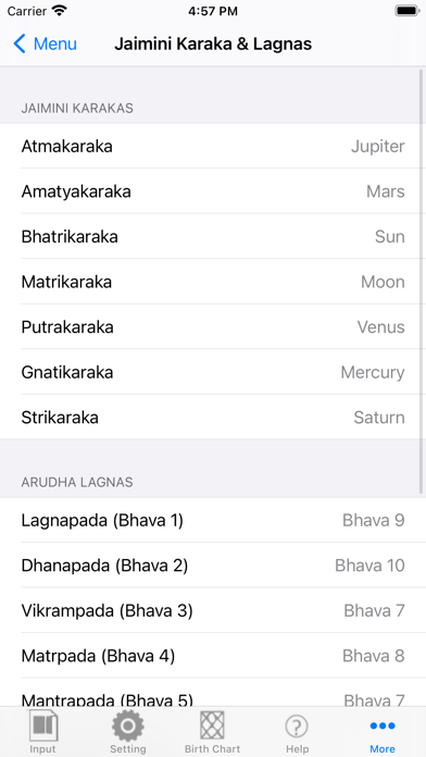 iHoroscope Vedic screenshot