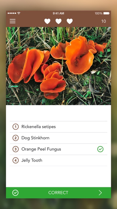 Mushrooms PRO with Photo ID screenshot
