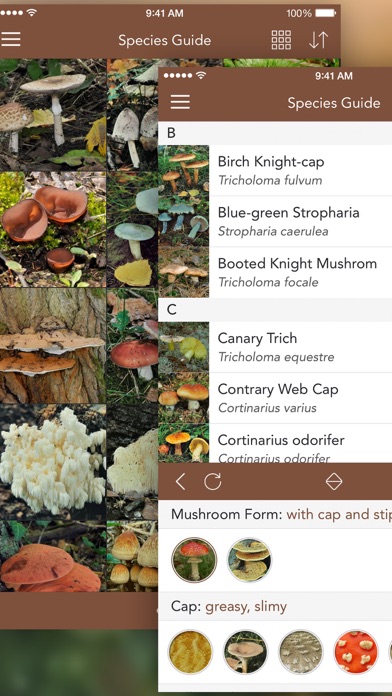 Mushrooms PRO with Photo ID screenshot